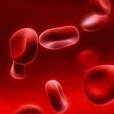 Нейтрофилы в крови и их уровень